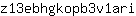 z***i