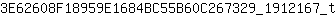 3***t