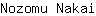 N***i