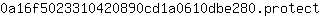 0***t