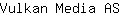 V***S