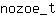 n***t