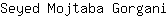 S***i