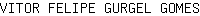 V***S