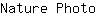 N***o