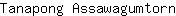 T***n