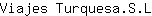 V***L