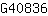 G***6