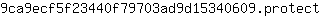 9***t