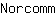 N***m
