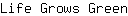 L***n