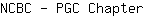 N***r