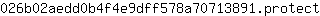 0***t
