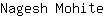 N***e