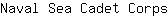 N***s