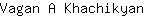 V***n