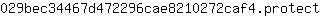 0***t