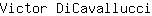 V***i