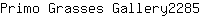 P***5