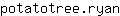 p***n