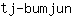 t***n