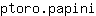 p***i