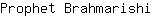 P***i