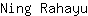 N***u