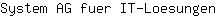 S***n