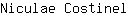 N***l