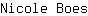 N***s