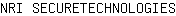 N***S