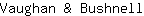 V***l