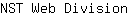 N***n