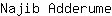N***e
