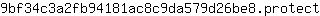 9***t