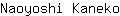 N***o
