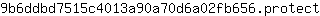 9***t