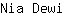 N***i