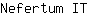 N***T