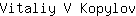 V***v