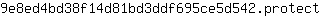 9***t