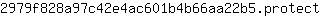 2***t