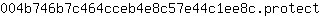 0***t
