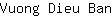 V***n