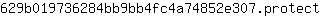 6***t