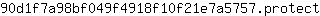 9***t