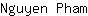 N***m