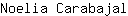 N***l