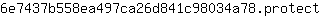 6***t